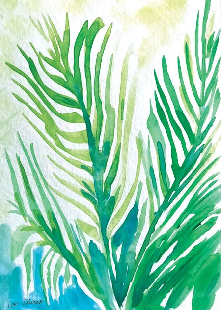 Palm-Delight-Front